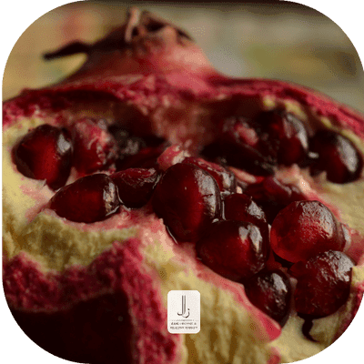 گالری تصاویر زال